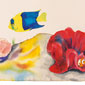 Barriera Corallina