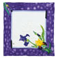 Iris Viola