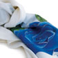 Rose Blu