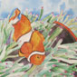 Pesce Pagliaccio e Anemone