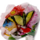 Pareo Farfalle e Ibiscus