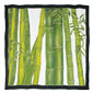 Foresta di Bambù
