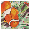 Pesce Pagliaccio e Anemone